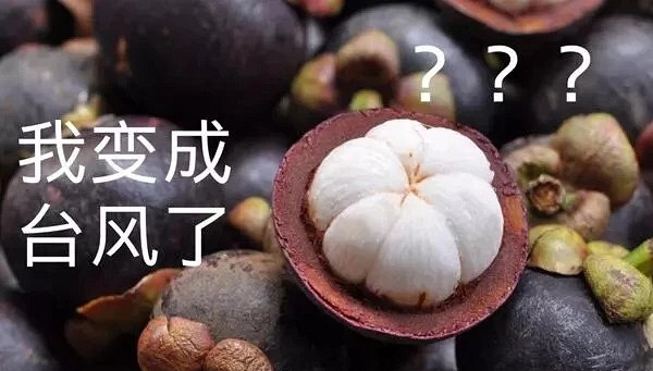山竹 山竹